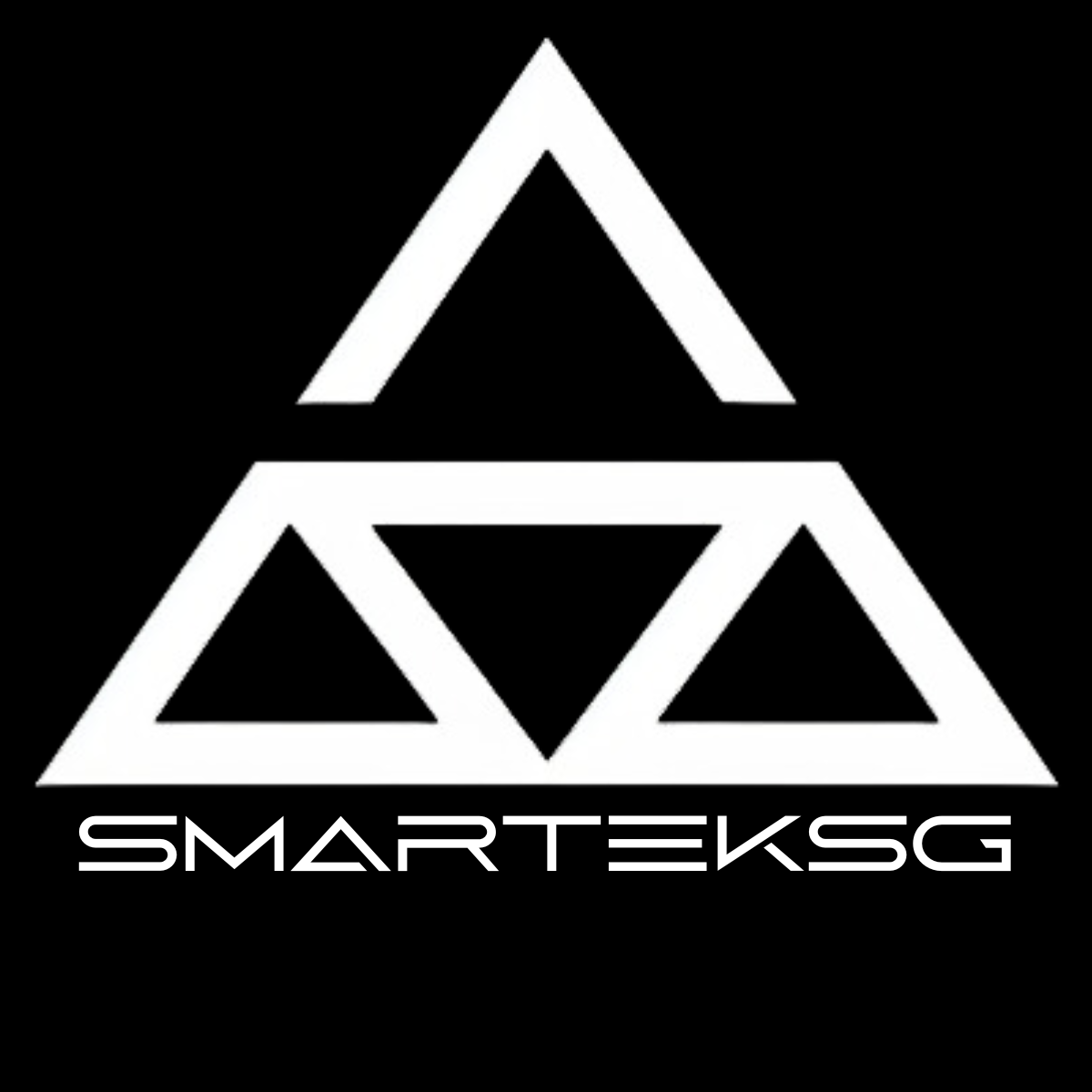 SMARTEKSG LLC