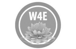 W4E